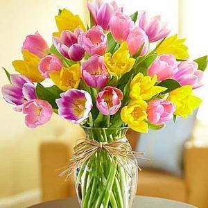 Meet your Posher, Chey